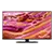 SAMSUNG QE43QN90F 43" 4K Neo QLED 4K Glare Free Smart TV