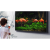 SAMSUNG QE65LST7TC 65" 4K HDR Smart Outdoor TV