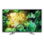 SONY KE55XH8196BU 55" Ultra HD 4K Smart Bravia LED TV with Freeview
